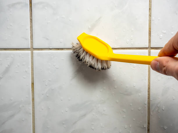 Best DIY Mold Remediation Support Services in Westwood Lakes, FL
