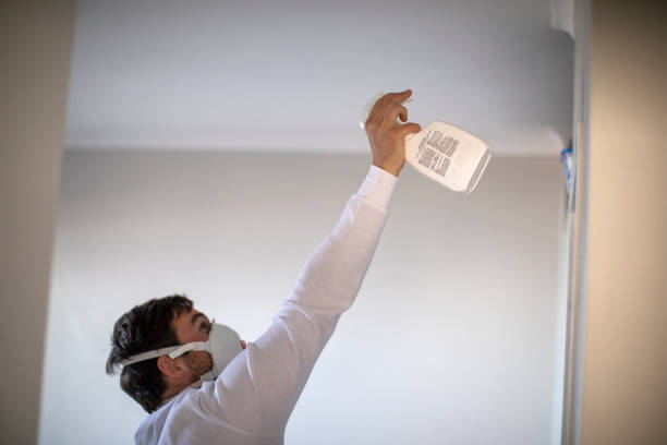 Best Localized Mold Remediation (e.g., coastal areas, humid climates) in Westwood Lakes, FL