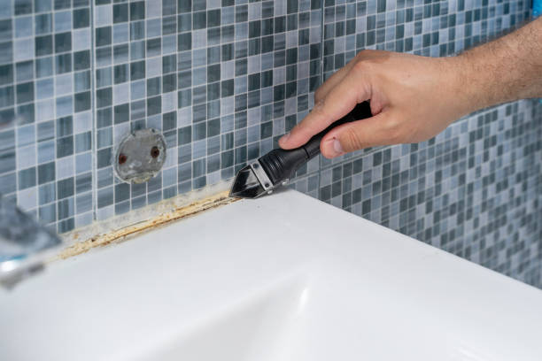 Best Commercial Mold Remediation in Westwood Lakes, FL