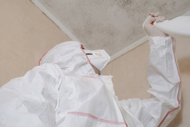 Best Emergency Mold Remediation in Westwood Lakes, FL