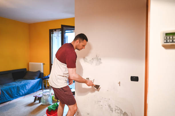 Best Mold Testing and Inspection Services in Westwood Lakes, FL